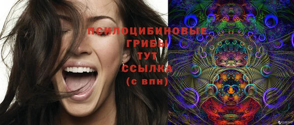 mdpv Арсеньев