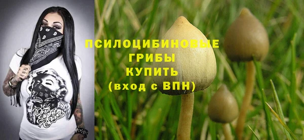 mdpv Арсеньев