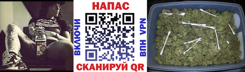 Марихуана Bruce Banner Покачи